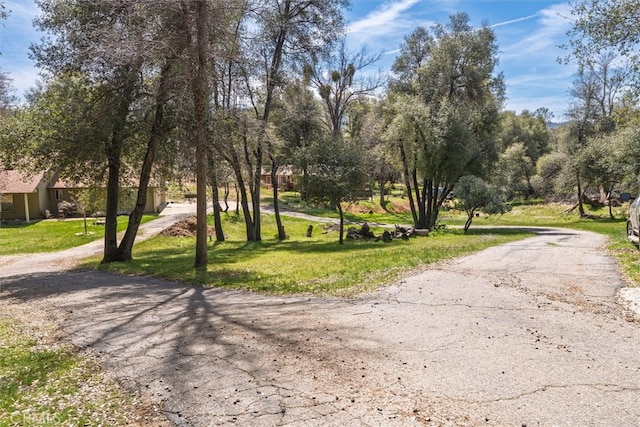 51674 Rd 426, Oakhurst, CA 93644 - view of home's community featuring a yard