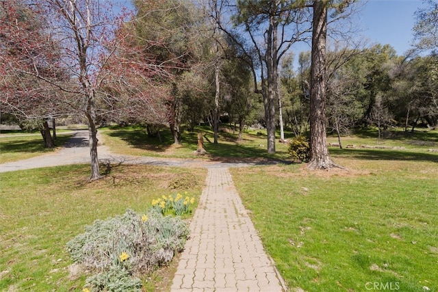 51674 Rd 426, Oakhurst, CA 93644 - surrounding community featuring a lawn