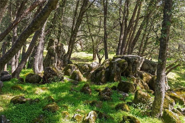 51674 Rd 426, Oakhurst, CA 93644 - view of local wilderness