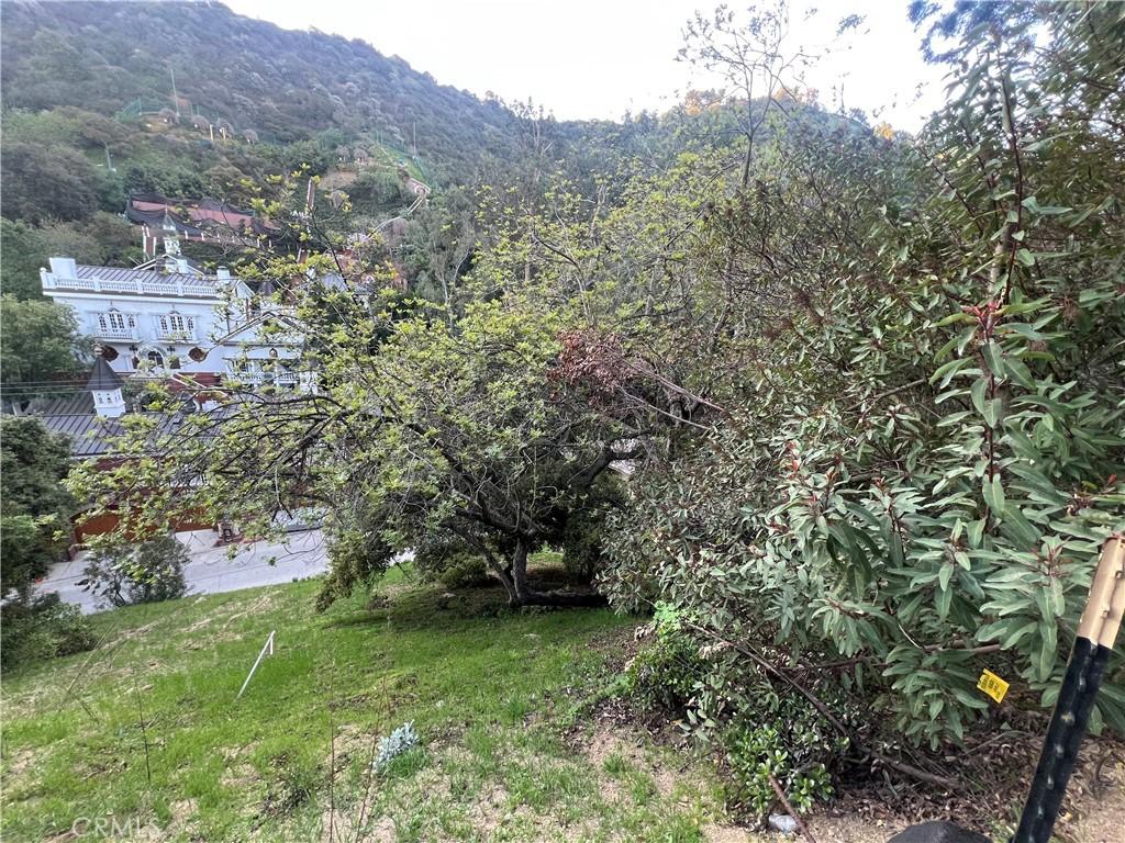 8587 Lookout Mountain Ave, Los Angeles, CA 90046