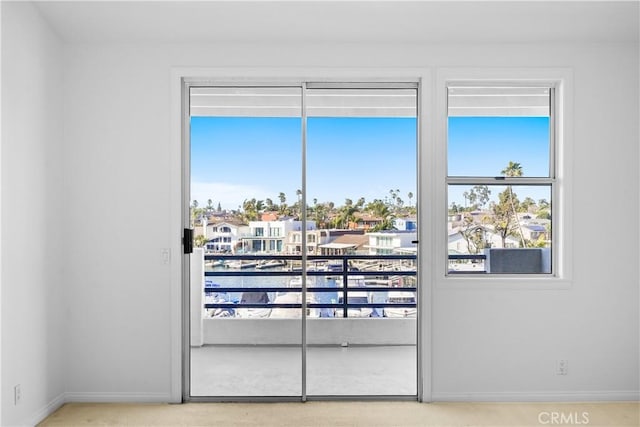 entryway with plenty of natural light, baseboards, and carpet