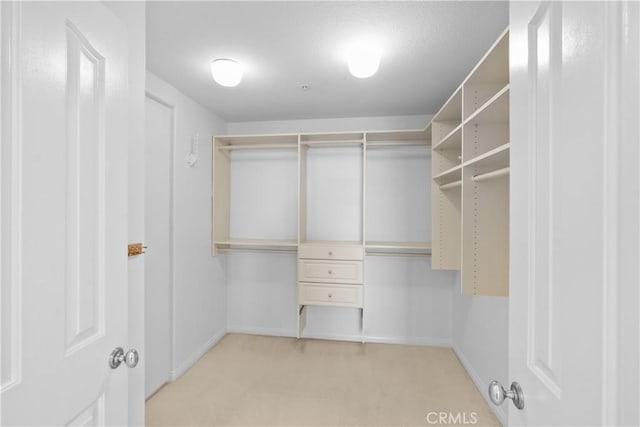 walk in closet with light colored carpet