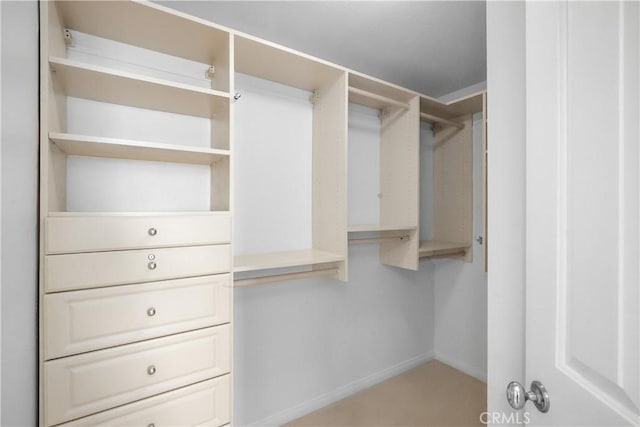 view of walk in closet