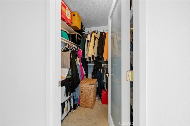 walk in closet with carpet flooring