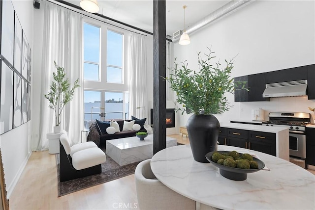4215 Glencoe Ave Unit 407, Marina Del Rey, CA 90292 - interior space with baseboards, light wood-type flooring, a high ceiling, and a fireplace