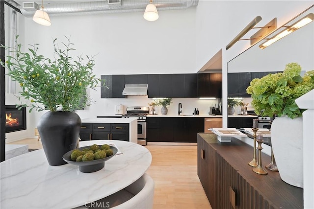 4215 Glencoe Ave Unit 407, Marina Del Rey, CA 90292 - kitchen with light countertops, light wood-type flooring, dark cabinetry, gas range, and under cabinet range hood