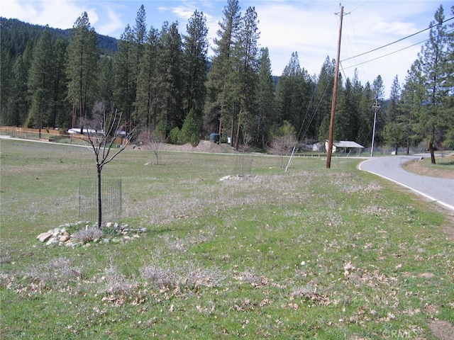 2512 Goose Ranch Rd, Weaverville, CA 96052