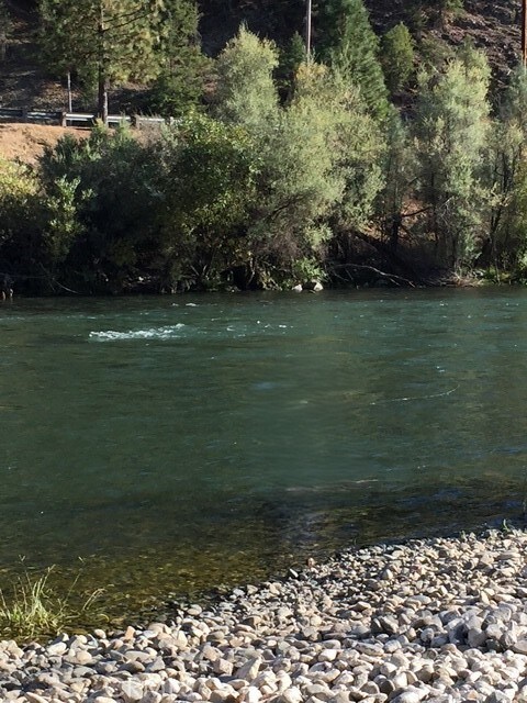 2512 Goose Ranch Rd, Weaverville, CA 96052