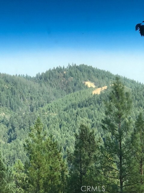 2512 Goose Ranch Rd, Weaverville, CA 96052