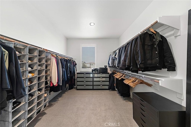 walk in closet featuring carpet floors