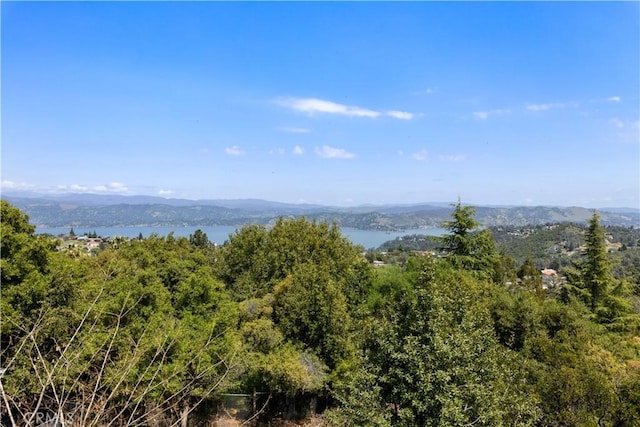 view of mountain feature featuring a water view and a forest view