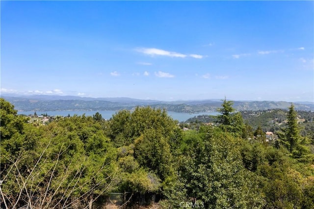 5638 Arapaho Way, Kelseyville, CA 95451 - photo 7