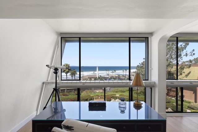 1552 Camino Del Mar Unit 623/625, Del Mar, CA 92014 - living room with a water view, wood finished floors, and healthy amount of natural light
