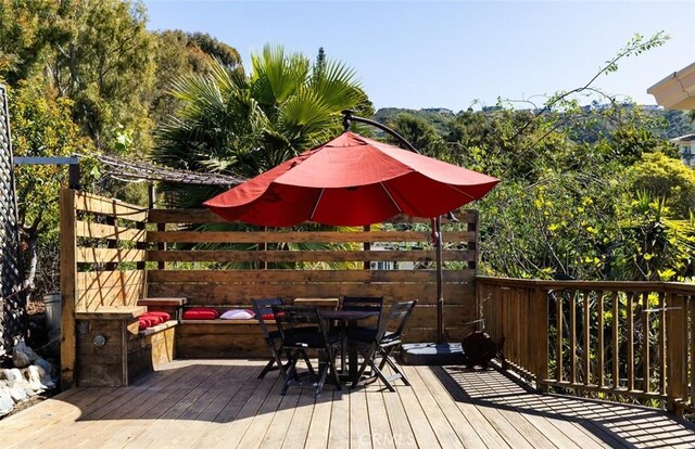31706 Scenic Dr, Laguna Beach, CA 92651 - photo 22