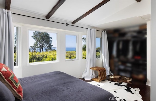 31706 Scenic Dr, Laguna Beach, CA 92651 - photo 14