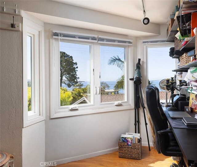 31706 Scenic Dr, Laguna Beach, CA 92651 - photo 16