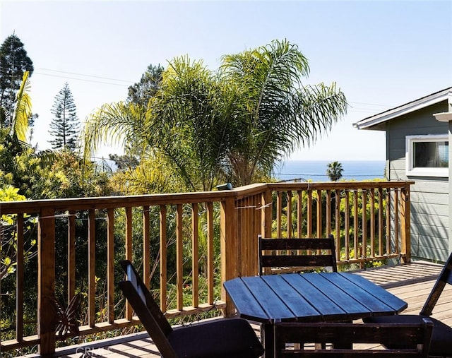 31706 Scenic Dr, Laguna Beach, CA 92651 - photo 24