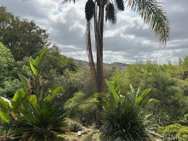 2248 Buena Creek Rd, Vista, CA 92084 - photo 55