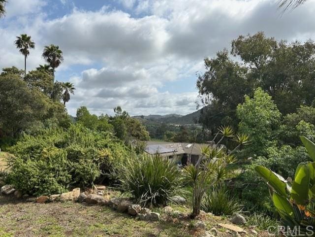 2248 Buena Creek Rd, Vista, CA 92084 - photo 26