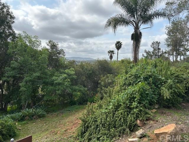 2248 Buena Creek Rd, Vista, CA 92084 - photo 54