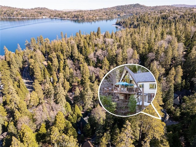 256 B Ln, Lake Arrowhead, CA 92352 - aerial view of property and surrounding area featuring a forest and a large body of water