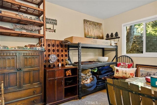 256 B Ln, Lake Arrowhead, CA 92352 - view of storage area