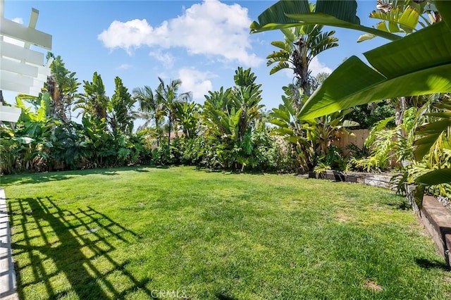 2204 Recodo Ct, Carlsbad, CA 92009 - view of yard