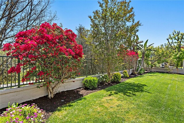 10 Cambridge Ct, Coto De Caza, CA 92679 - view of yard