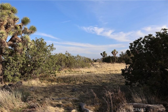 9955 Macron St, Oak Hills, CA 92344 - photo 3