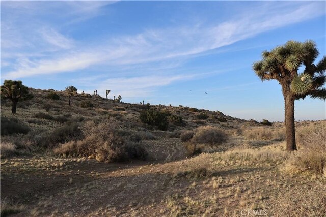 9955 Macron St, Oak Hills, CA 92344 - photo 15