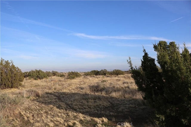 9955 Macron St, Oak Hills, CA 92344 - photo 6