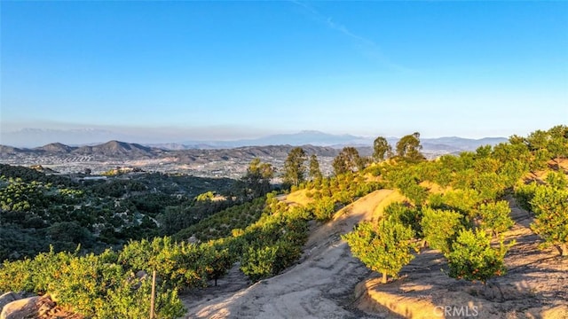 0 Stone Pt, Murrieta, CA 92562 - photo 16