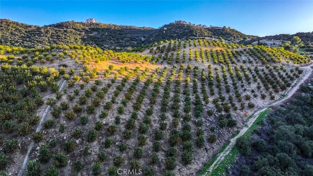 0 Stone Pt, Murrieta, CA 92562 - photo 12