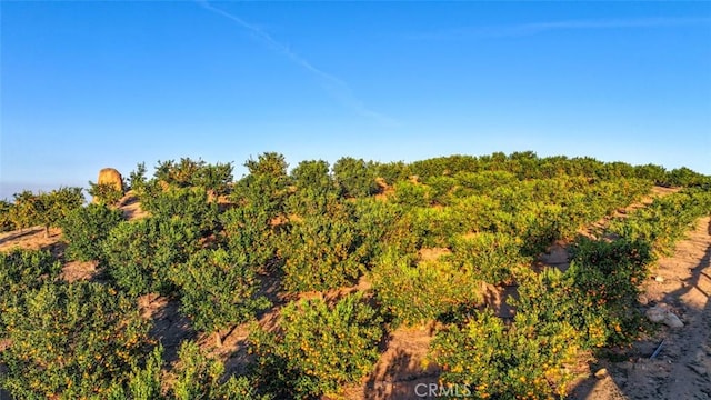 0 Stone Pt, Murrieta, CA 92562 - photo 10