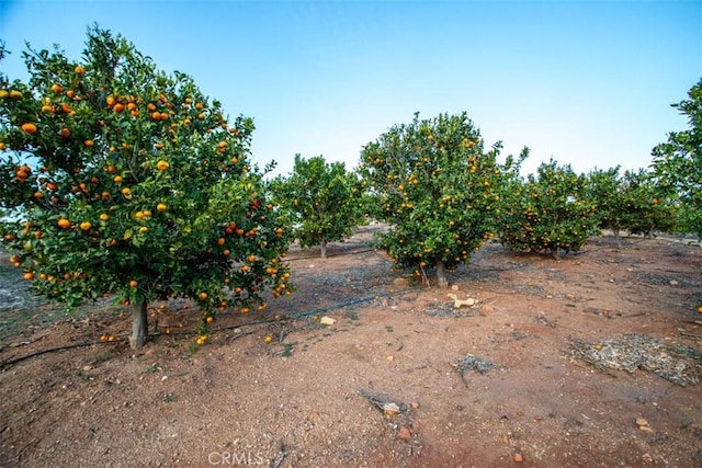 0 Stone Pt, Murrieta, CA 92562 - photo 11