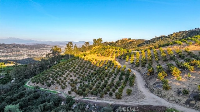 0 Stone Pt, Murrieta, CA 92562 - photo 13