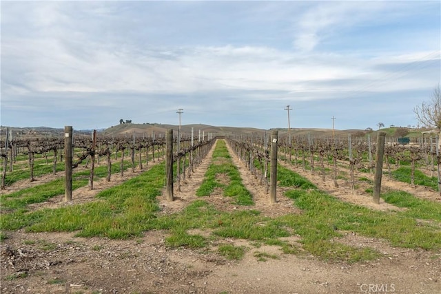 view of yard with fence and a rural view