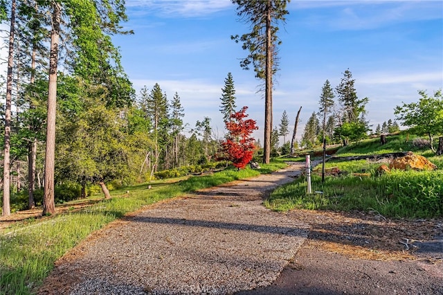 1712 Connell Ln, Paradise, CA 95969