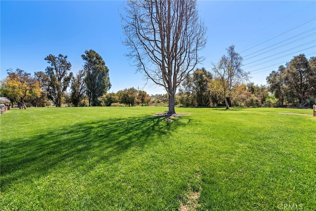 31351 Calle Del Campo, San Juan Capistrano, CA 92675 - view of grassy yard