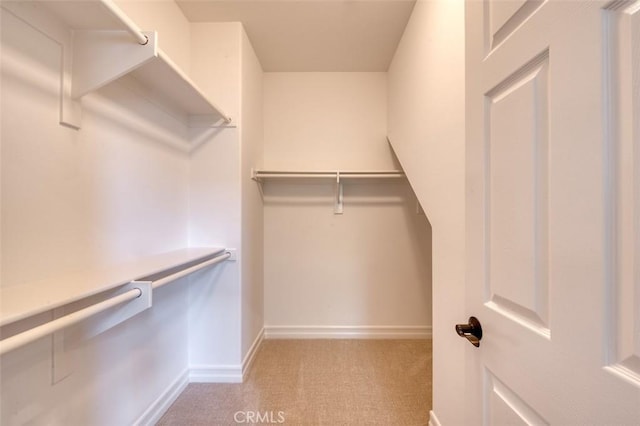 spacious closet featuring light colored carpet