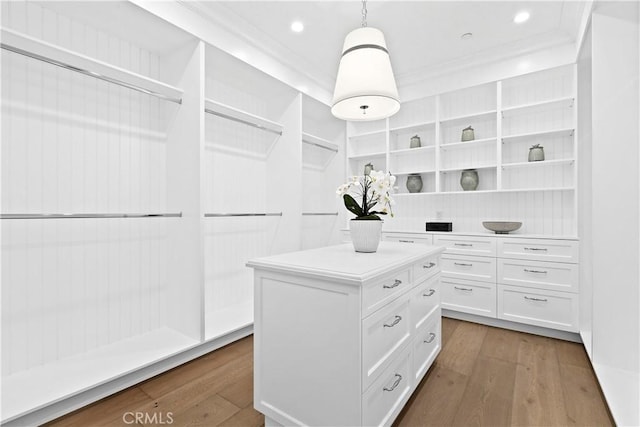 spacious closet featuring dark wood-type flooring