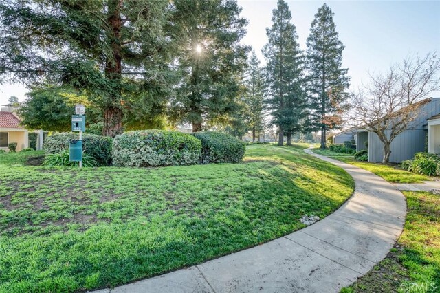 4837 N Hulbert Ave, Fresno, CA 93705 - view of green lawn