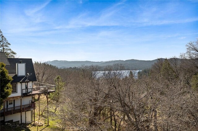 27431 Alpen, Lake Arrowhead, CA 92352 - photo 48