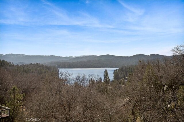 27431 Alpen, Lake Arrowhead, CA 92352 - photo 21