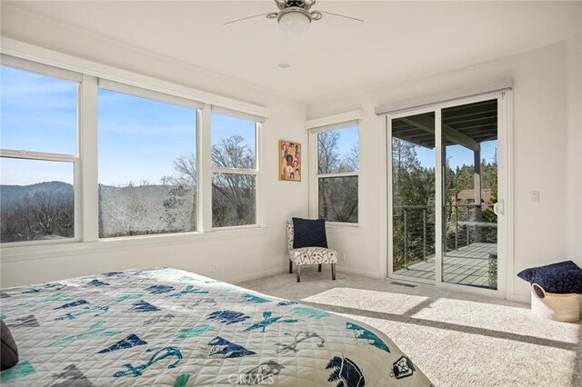 27431 Alpen, Lake Arrowhead, CA 92352 - photo 44