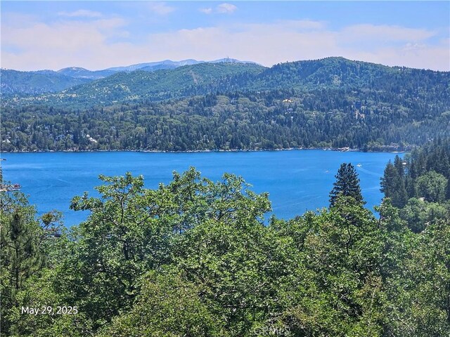 27431 Alpen, Lake Arrowhead, CA 92352 - photo 1