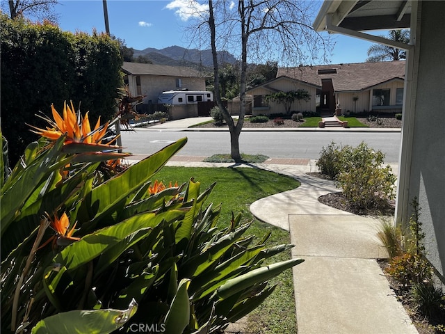 view of yard featuring a residential view