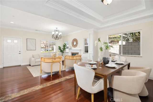 dining room with a tray ceiling, a fireplace, wood finished floors, and a healthy amount of sunlight