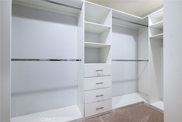 spacious closet with carpet
