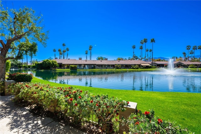 water view
